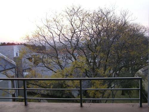 Lovely 2 Bed Upstairs Apartment In Bryanston