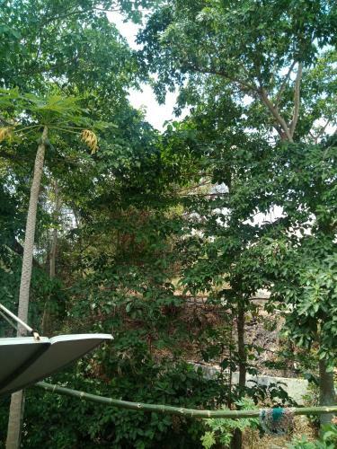 Apartamento Aguslodge