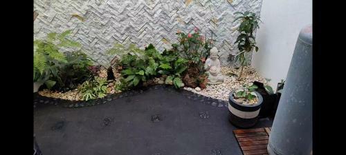 Apartamento Loft Salida P�tzcuaro