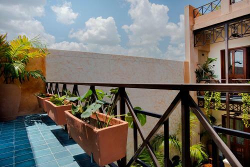 Cigno Hotel