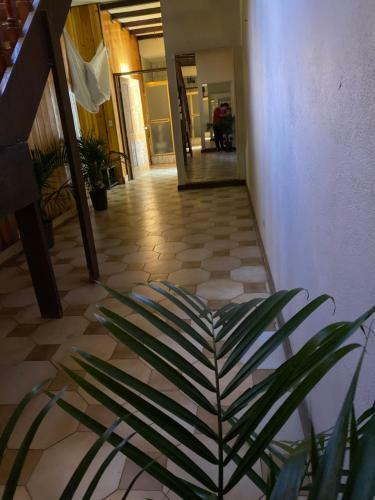 Ocean Front Antique House, Private Beach!