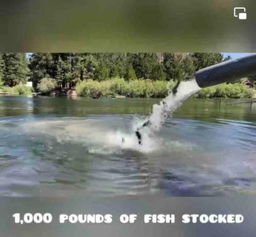 Tranquil Cottage Getaway W/ Huge Deck