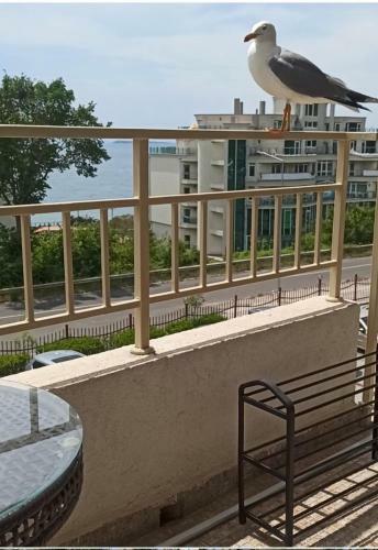 Apartamento St.vlas Imperial Fort