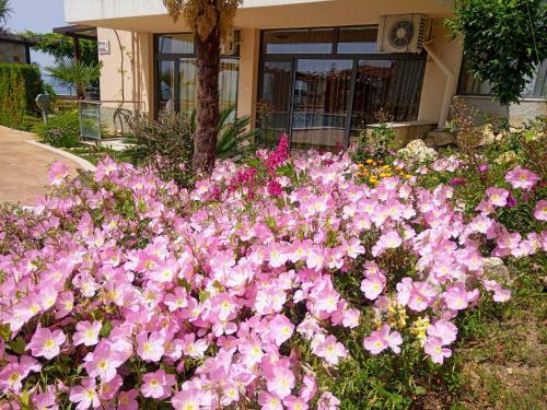 Dolce Vita II Waterfront Breeze Sea View Luxury Apartament