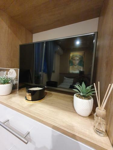 Amelia Apartment