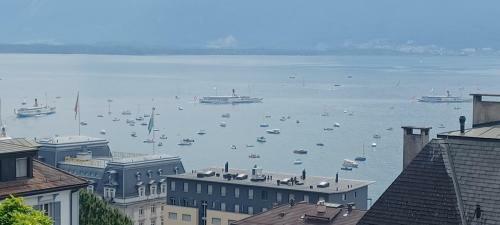 Hostal La Plus Belle Vue Du Lac L�man