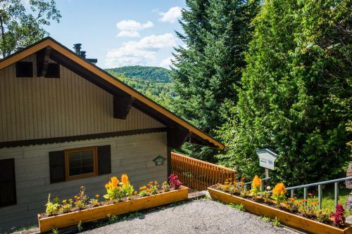 Chalets Lac � La Truite