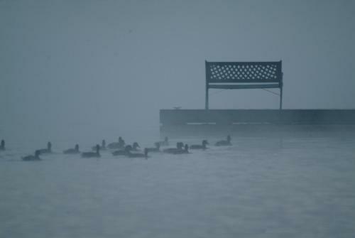Chalets Lac � La Truite