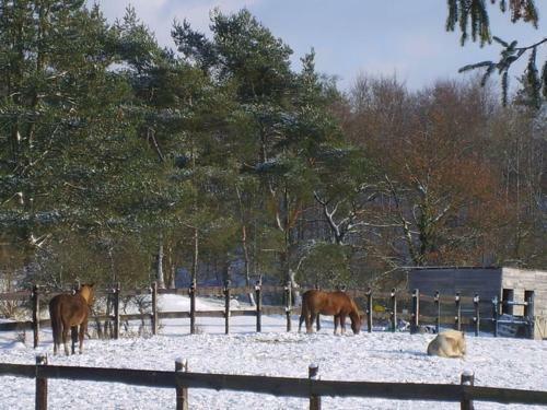 Lodge Holiday Home La Cle Des Champs Eprave