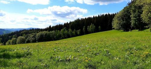 Apartm�n Hygge Bratrouchov