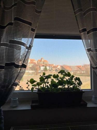 Ubytov�n� Jaroslavice