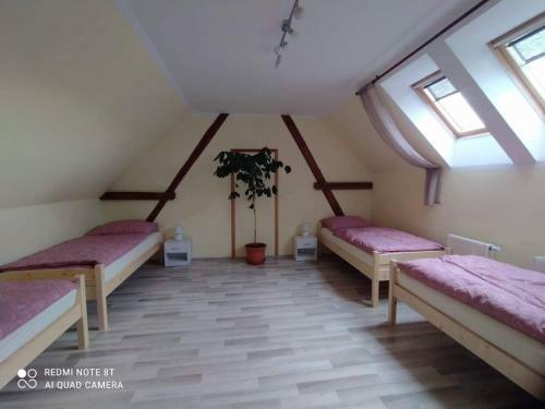 Apartamento Ubytov�n� Nad?je