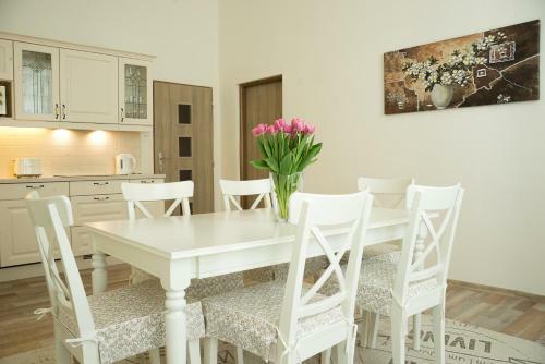 Apartment Aesculap
