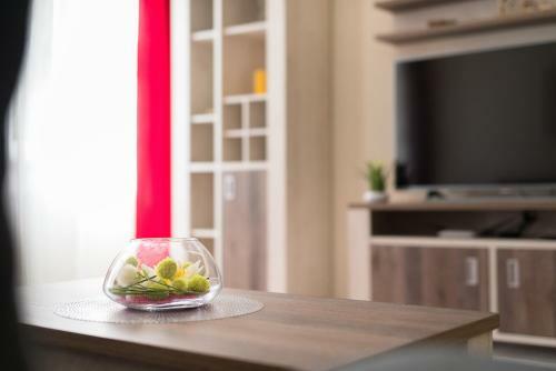 Apartment Aesculap