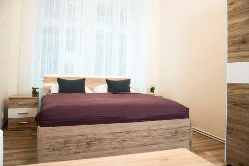 Apartment Aesculap
