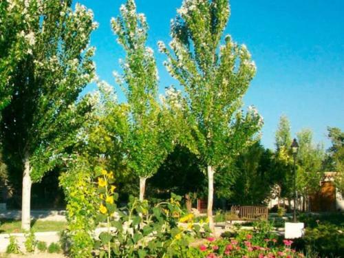 Apartamento Cortijo El Cosio
