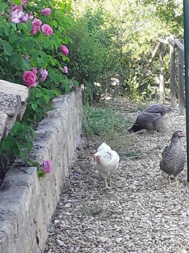 Bed & Breakfast La Suite De Garlone
