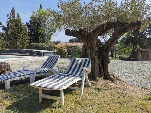 Apartamento La Pin�de