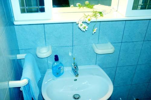 Apartments Marco Antonio