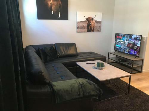 Notodden Sentrum Apartment No 10