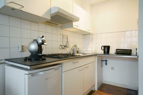 Old Vest Apartment