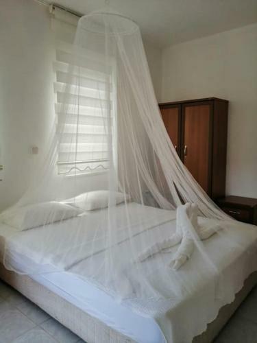 Private Villa In Dalyan