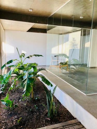 Apartamento Sp 529 Cdelu