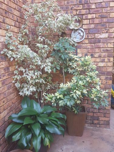 Bed & Breakfast Grace Place Bnb Pretoria