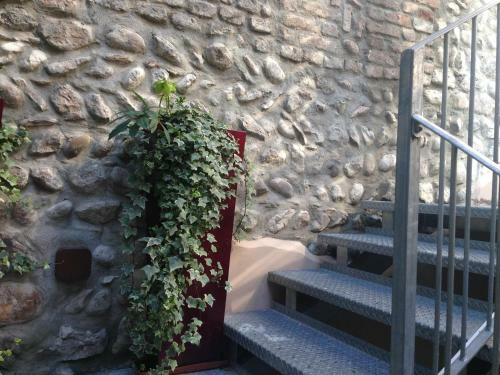 Hostal Oreste Suite