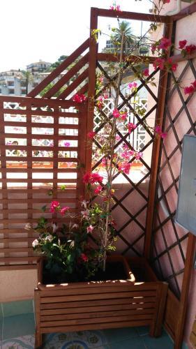 Apartamento Blu Paradise