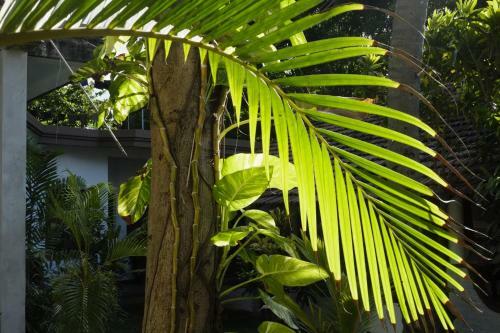 Apartamento Freedom Beach Arugam Bay