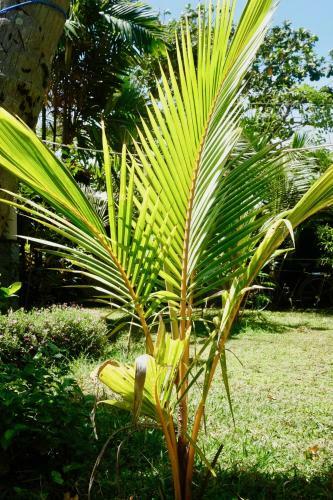 Apartamento Freedom Beach Arugam Bay