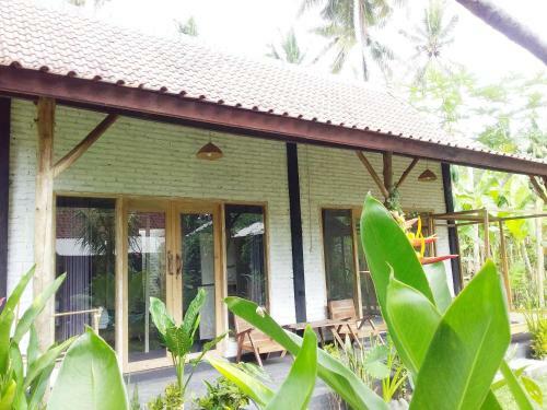 Albergue Jungle House - Surf & Stay