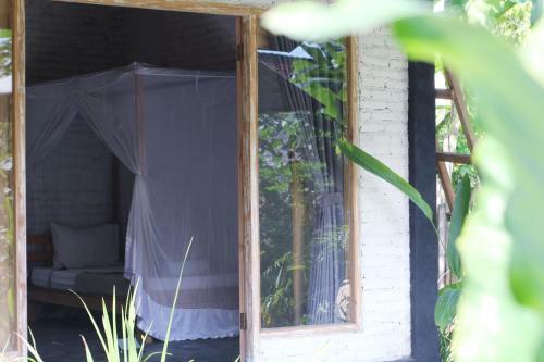 Albergue Jungle House - Surf & Stay