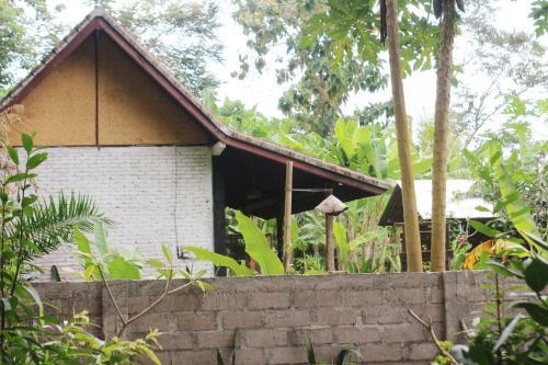 Albergue Jungle House - Surf & Stay
