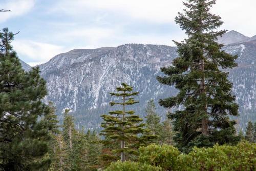 #490 - Modern, Rustic Mammoth Condo, Mountain Views & Spa