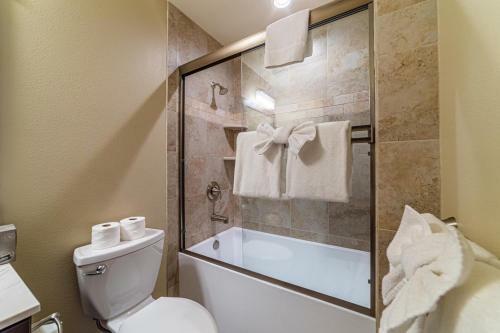 #511 Midtown Mountain Retreat