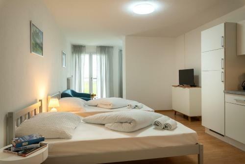 Apartamento Alpine Hostel A3