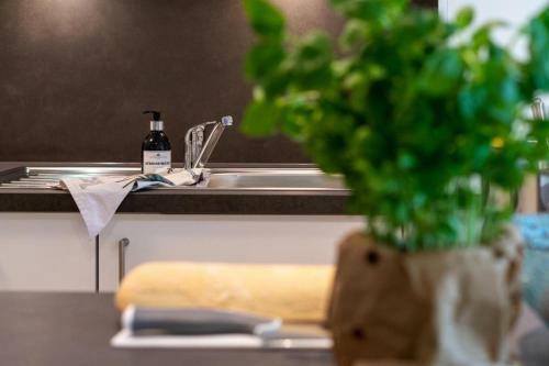 Apartamento Haus-schwanensee-wohnung-5