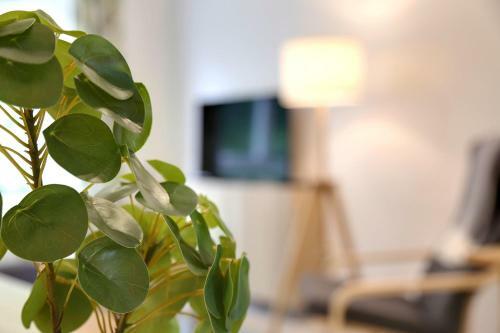 Apartamento Pass The Keys 1br Modern Beautiful House Pass The Keys