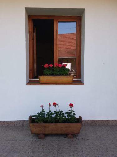 Apartamento B�r�-udvar Vend�gh�z