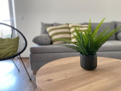 Apartment N