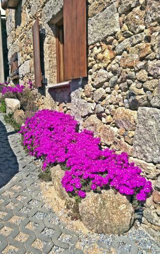 Agroturismo Pouso Da Serra - Casas De Montanha