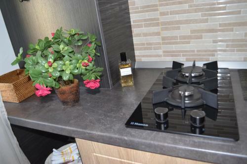 Andreea Apartament Solid Residence Mamaia