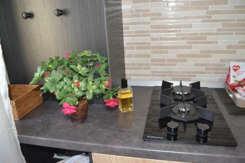 Andreea Apartament Solid Residence Mamaia