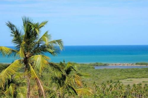 A Casa Concha: Casinha De Taipa, Praia De Gravata