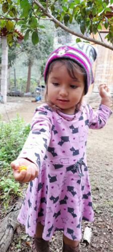 Agroturismo Canto Da Flor