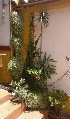 Casa Arias Guerra Las Bugambilias