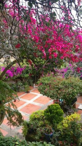 Casa Arias Guerra Las Bugambilias