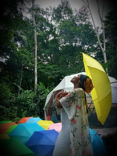 Glamping Sapzurro